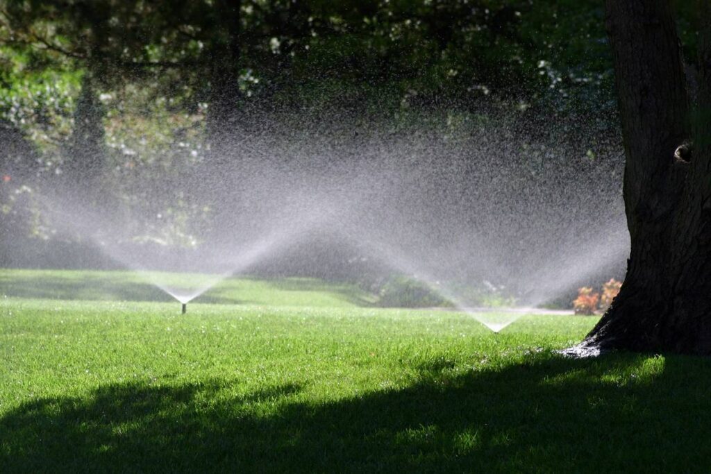 Vinny's Lawn Care, the leading lawn service provider in town.